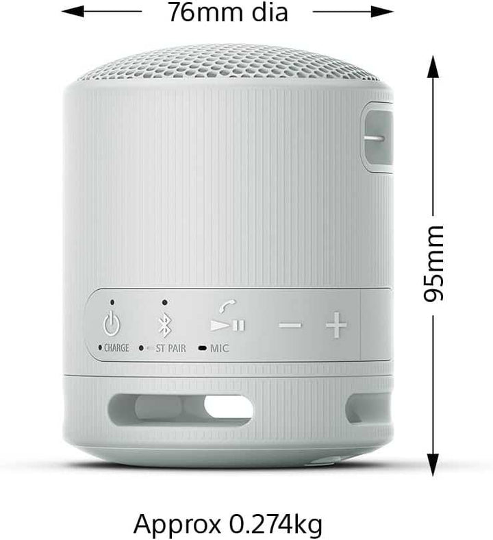Sony Portable Wireless Speaker SRS-XB100 | Various Colours SRSXB100HCE7 Speaker Audio Tech Sony TechMeOut.ie
