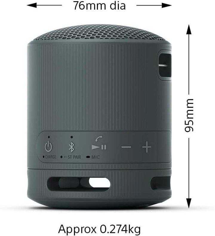 Sony Portable Wireless Speaker SRS-XB100 | Various Colours SRSXB100HCE7 Speaker Audio Tech Sony TechMeOut.ie