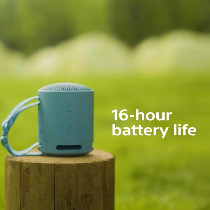 Sony Portable Wireless Speaker SRS-XB100 | Various Colours SRSXB100HCE7 Speaker Audio Tech Sony TechMeOut.ie