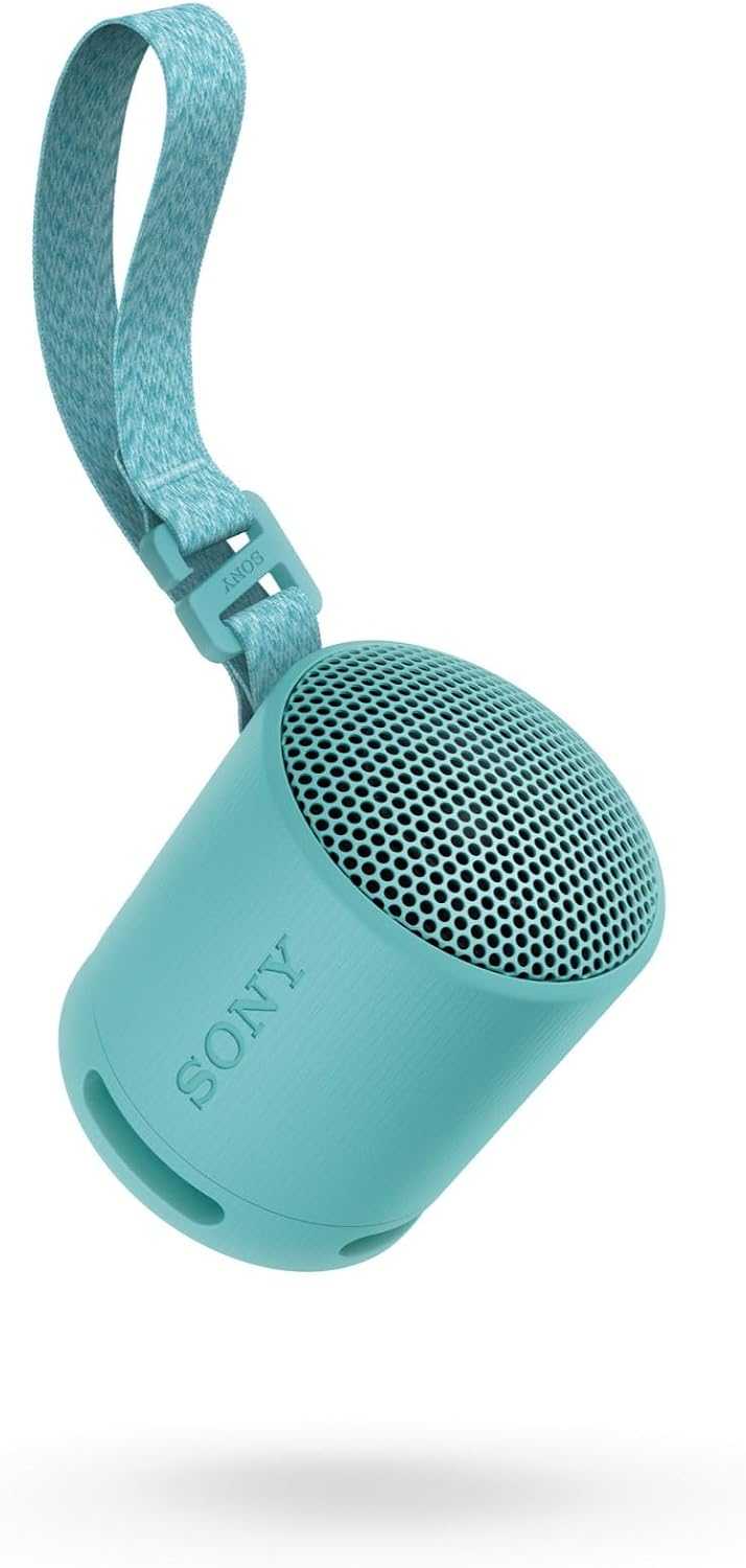 Sony Portable Wireless Speaker SRS-XB100 | Various Colours SRSXB100HCE7 Speaker Audio Tech Sony TechMeOut.ie