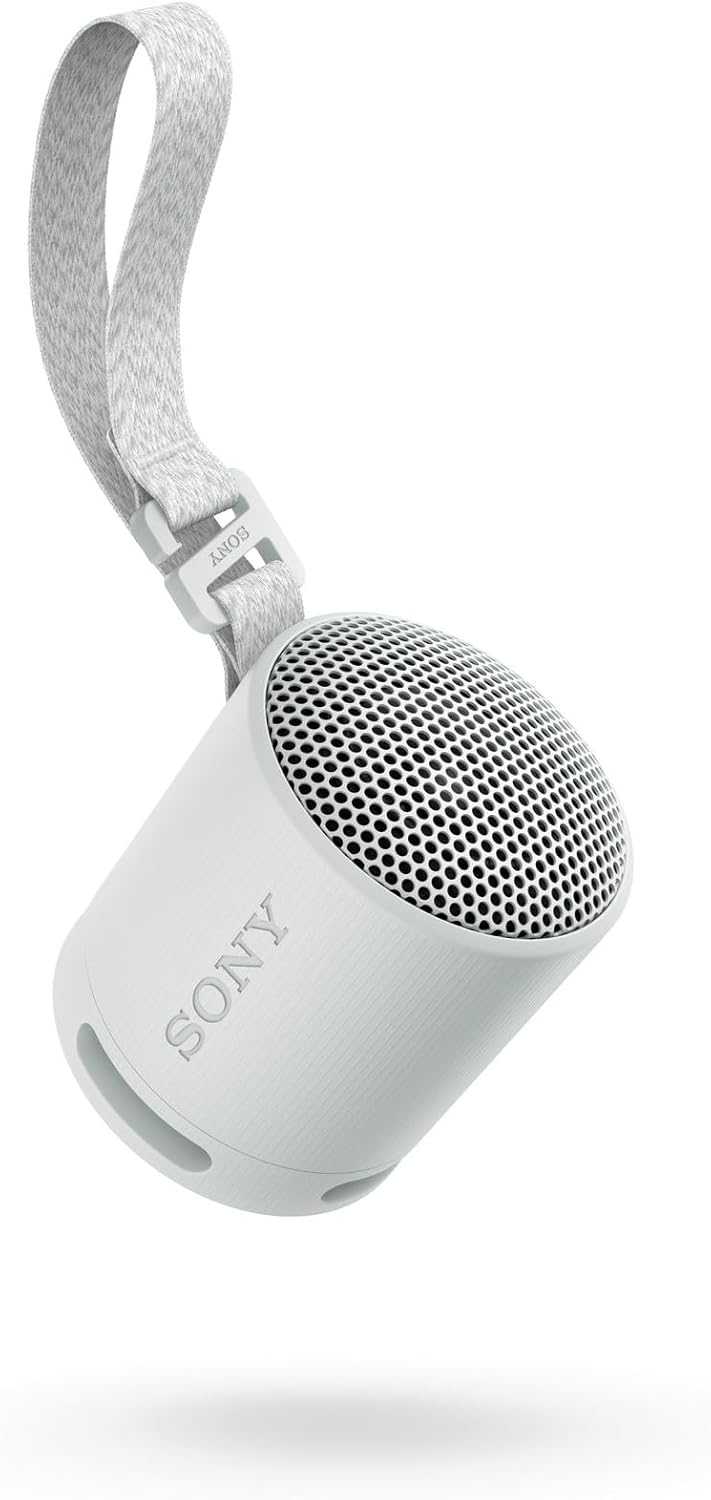 Sony Portable Wireless Speaker SRS-XB100 | Various Colours SRSXB100HCE7 Speaker Audio Tech Sony TechMeOut.ie