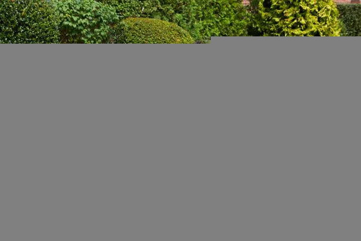 Flymo 36V EasiStore 340R Cordless Lawnmower Kit 970538301 Cordless Mower Flymo Flymo TechMeOut.ie