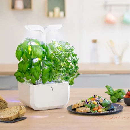 Exky® CLASSIC by Veritable 239-VEXK-CAWAW-UK-49 Indoor Garden Kitchen Tech Veritable TechMeOut.ie