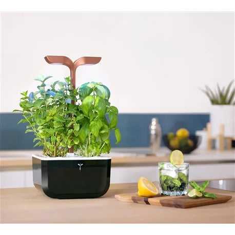 Veritable Exky SMART Copper Indoor Herb Garden