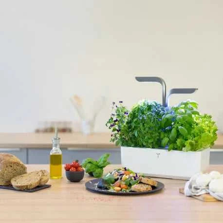 Veritable CONNECT Infinity Grey Indoor Garden 239-VPOT-BAWIG-UK-13 Indoor Garden Lifestyle Tech Veritable TechMeOut.ie